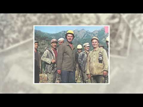 Видео: Синдикалното движение в епохата на социализма (1944-1989)