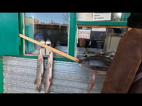 Видео: Костанай Едем в микрорайон Западный #petrovih51  #костанай
