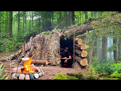 Видео: Строительство укрытия из коры дерева