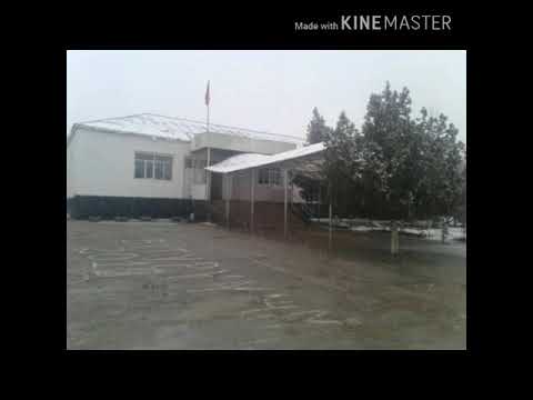 Видео: 2019-2020-окуу жылын бутуруучулору