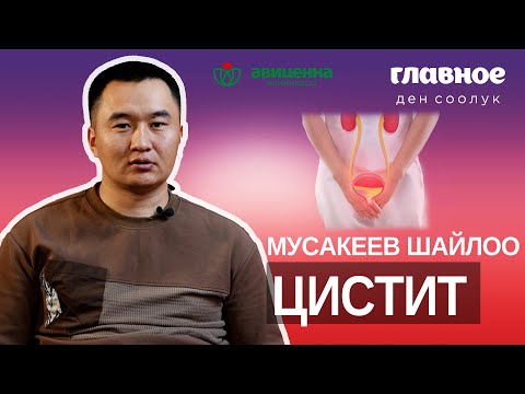 Видео: Циститти урологдор даарылайт.