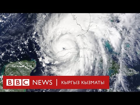 Видео: Эң кыйратуучу бороондордун бири АКШга жакындап калды - BBC Kyrgyz