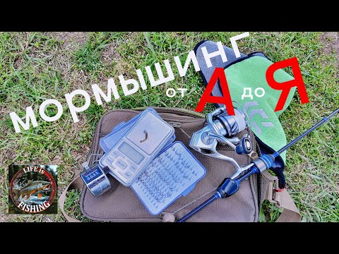 Видео: Мормышинг спиннингом: от А до Я за 20 минут| Полное руководство для начинающих. От новичка до Профи