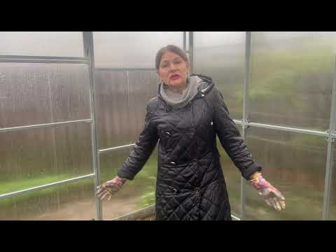 Видео: Теплица в ноябре