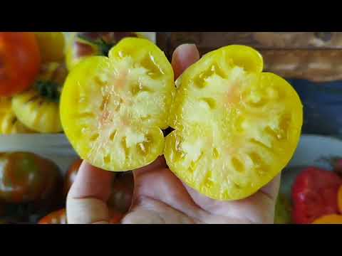 Видео: 21июля обзор томатов 🍅в разрезе, по вкусу. 🍅