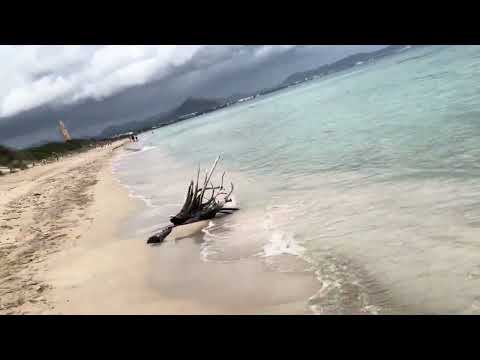 Видео: Playa Ca’n Picafort Кан Пикафорт Майорка#mallorca #путешествия#alcudia #beach #море#mallorca#пляж#es