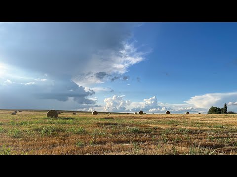 Видео: Рынок в Суботице. Ловим и сушим #жизньвсербии #суботица #рыбалка #веселыекоты  #жизньзаграницей