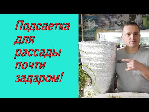 Видео: Эффективный и дешёвый способ улучшить подсветку рассады!