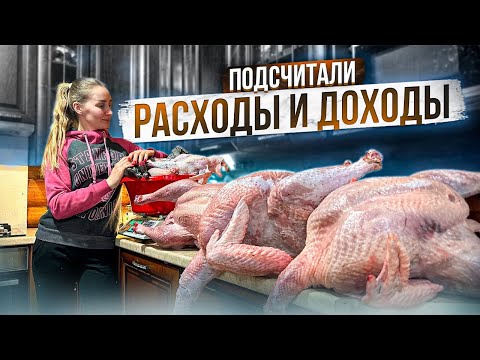 Видео: Выгодны ли бройлерные Индюки? Наш опыт выращивания. +1 работник на ферме!
