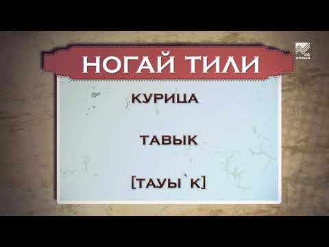 Видео: Разговорник (ногайский язык) (05.10.2015)