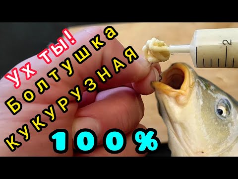 Видео: Рыболовная кукурузная болтушка!!! Вкуснятина для КАРАСЯ, КАРПА, САЗАНА, ПЛОТВЫ!!!