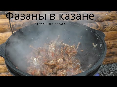 Видео: Фазаны в казане