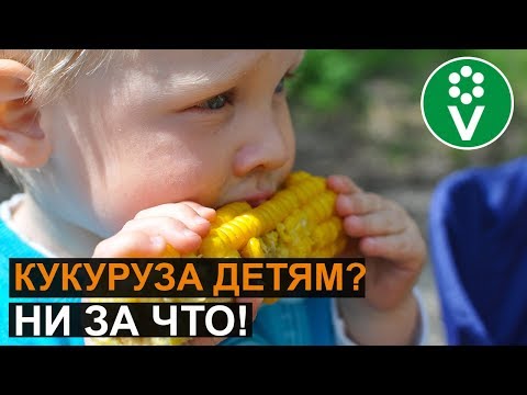 Видео: Чем КУКУРУЗА ОПАСНА для здоровья?