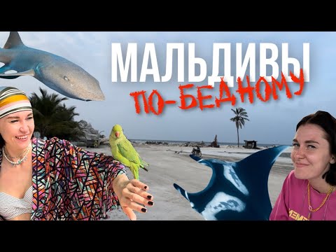 Видео: МАЛЬДИВЫ ПО-БЕДНОМУ I ЧТО ЛУЧШЕ? РОСКОШНЫЙ ОТЕЛЬ ИЛИ ОСТРОВ МЕСТНЫХ