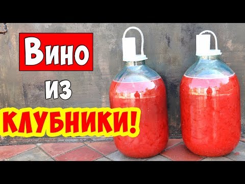 Видео: Вино из КЛУБНИКИ / Клубничное вино / ПРОСТОЙ РЕЦЕПТ! Strawberry wine!