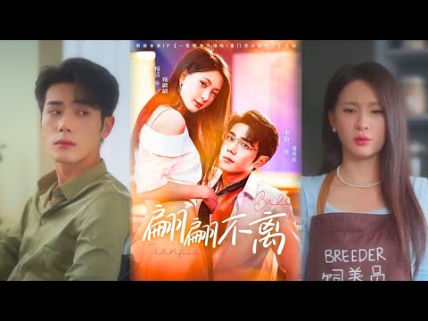 Видео: Богатая жена узнала о параличе и банкротстве мужа: вместе выживают в лачуге, работая официантами!