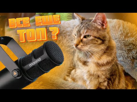 Видео: Так ли хорош Maono PD400X? – Обзор спустя месяц использования