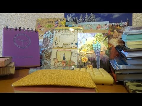 Видео: Коллекция блокнотов и ежедневников