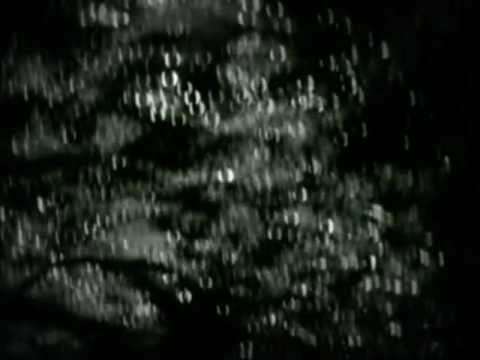 Видео: Хоронько-Вранье.mp4