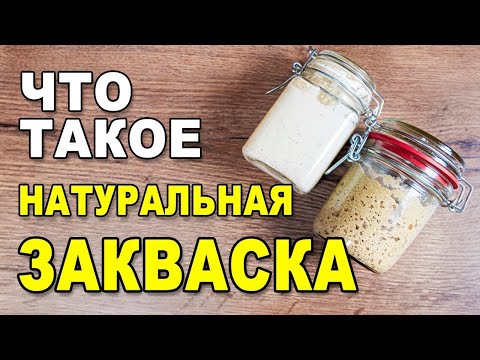 Видео: «Что такое натуральная закваска» – разбираемся в азах выпечки домашнего бездрожжевого хлеба