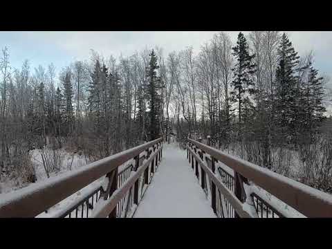 Видео: # 28 Почему мы переехали в штат Аляска.  Немного о себе.