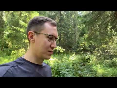 Видео: Линдуловская роща!