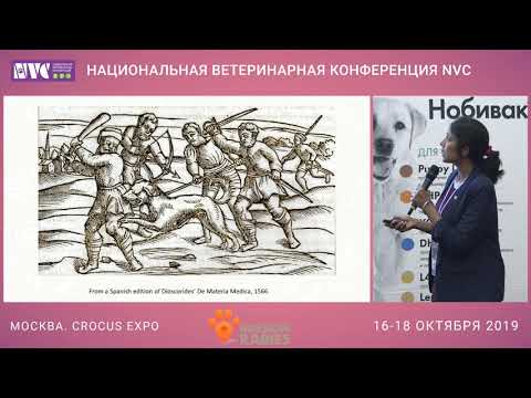 Видео: NVC 2019 - Бешенство 1 часть