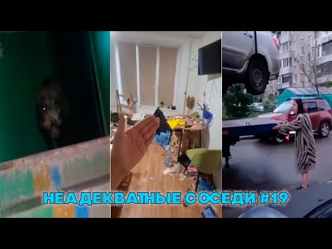 Видео: НЕАДЕКВАТНЫЕ СОСЕДИ #19 | Сдала квартиру