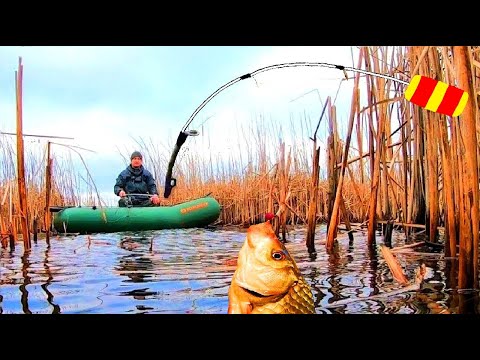 Видео: С ЭТОЙ СНАСТЬЮ ВСЕГДА БУДЕШЬ С РЫБОЙ. Рыбалка в камыше на боковой кивок