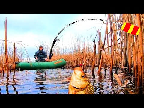 Видео: С ЭТОЙ СНАСТЬЮ ВСЕГДА БУДЕШЬ С РЫБОЙ. Рыбалка в камыше на боковой кивок