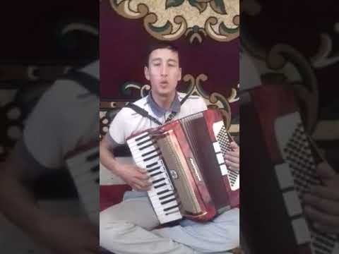 Видео: Бел-Терек Елбурс 0770650895