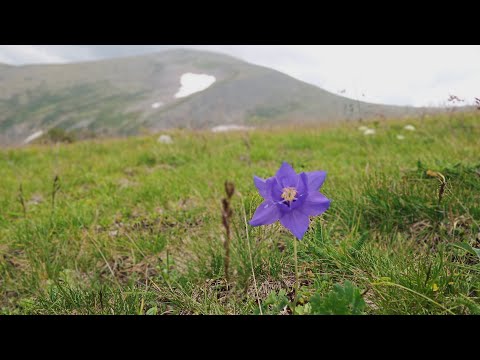 Видео: Автопутешествие на оке. Ивановские озера. День.05