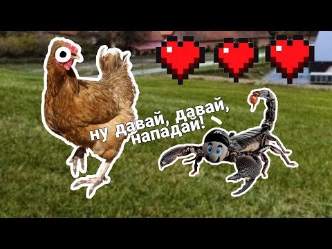 Видео: ХУДШИЕ СИМУЛЯТОРЫ ЖИВОТНЫХ НА АНДРОИД #1/2?