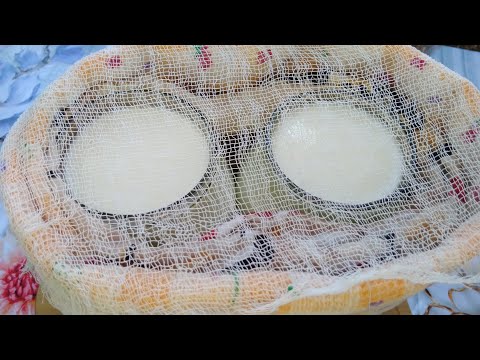 Видео: КАТИК УВИТТИМ ТОЗА БОНКАГА 😋💯💥👍