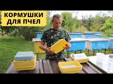 Видео: Кормушки для поздней подкормки пчел | Кормить или нет?