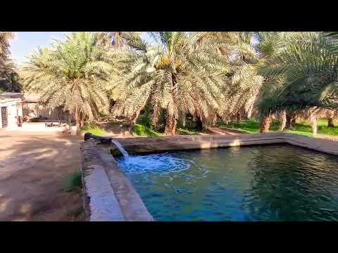 Видео: "Като живееш, така ще умреш, както умреш, така ще бъдеш съживен" |Петъчно хутбе 02| Адем Исуф