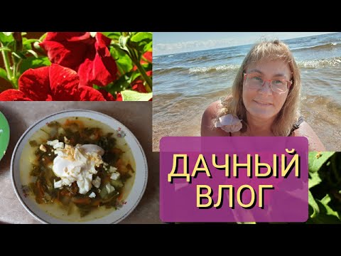 Видео: Влог.Суп из щавеля.Легкий летний суп за 10 минут.Приехал мастер.Мукбанг с озера.Напугали меня