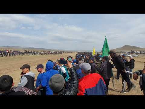 Видео: Чадаана Бора-Булак ховузу апрел 30 2021 чыл Чаваа аъттар