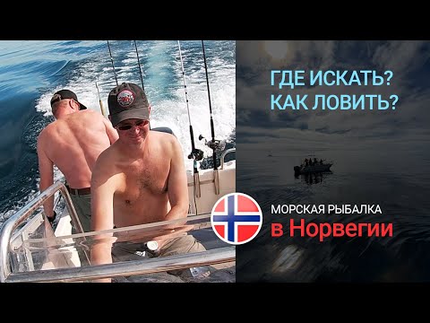 Видео: Морская рыбалка в Норвегии. Где и как искать рыбу и как ловить? Постановка на точке. Ловля на банках
