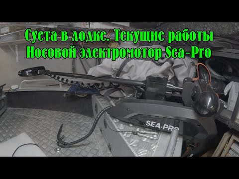Видео: Суета в лодке. Текщие работы по лодке. Моя обновка носовой электромотор Sea-Pro.