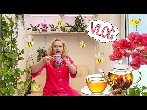 Видео: ЧАЕПИТИЕ НА ЛОДЖИИ И БОЛТАЛКА//СЯДУ ЛИ ЗА РУЛЬ,  ЗАЛИЛИ БУГЕНВИЛЛЕИ и пр.