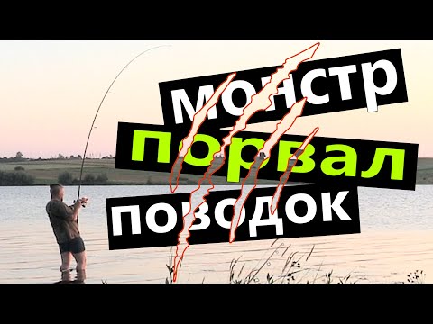 Видео: рыбалка на красивом озере ( ловля карпа на бойлы ) карпфишинг для начинающих