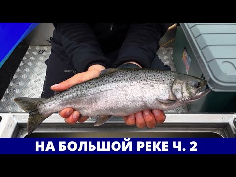 Видео: На Большой реке, часть 2 // Географию нахлыста