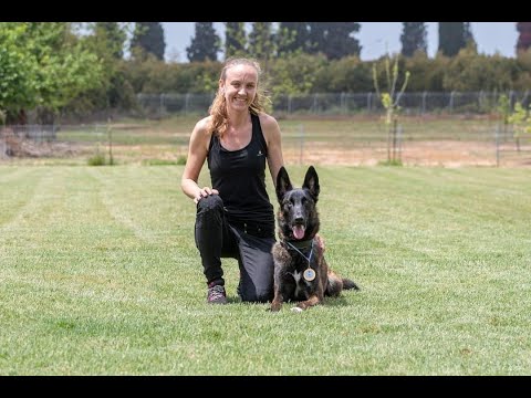 Видео: Алла и Тайгер сдают BH-VT