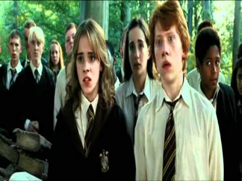 Видео: Ron & Hermione ♥  Беспощадная сука, стерва...