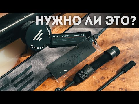 Видео: 🔥Спиннинг для мормышинга Favorite Black Swan Nano BSW1-602N-S – ПОЧЕМУ его ХВАЛЯТ?  Обзор, тест.