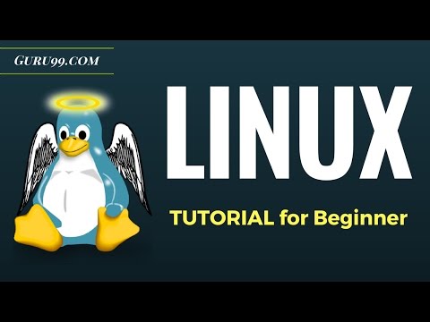 Видео: Учебник Linux для начинающих
