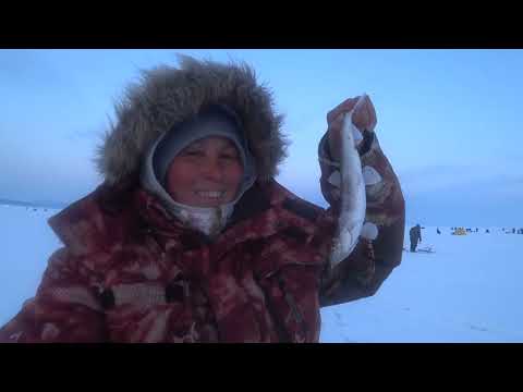 Видео: РЫБАЛКА от которой ОТВАЛЯТСЯ руки..