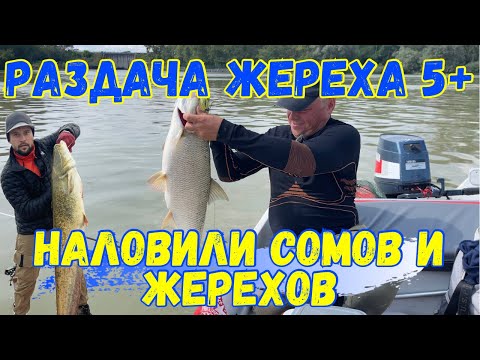 Видео: Раздача Жереха 5+ , наловили Сомов и Жерехов .