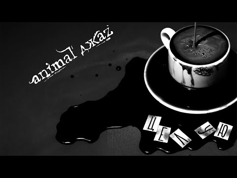 Видео: Animal ДжаZ — Целую (премьера клипа, 2025)